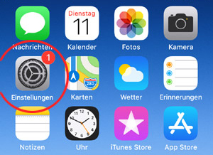 iPhone Startbildschirm mit markierter App Einstellungen